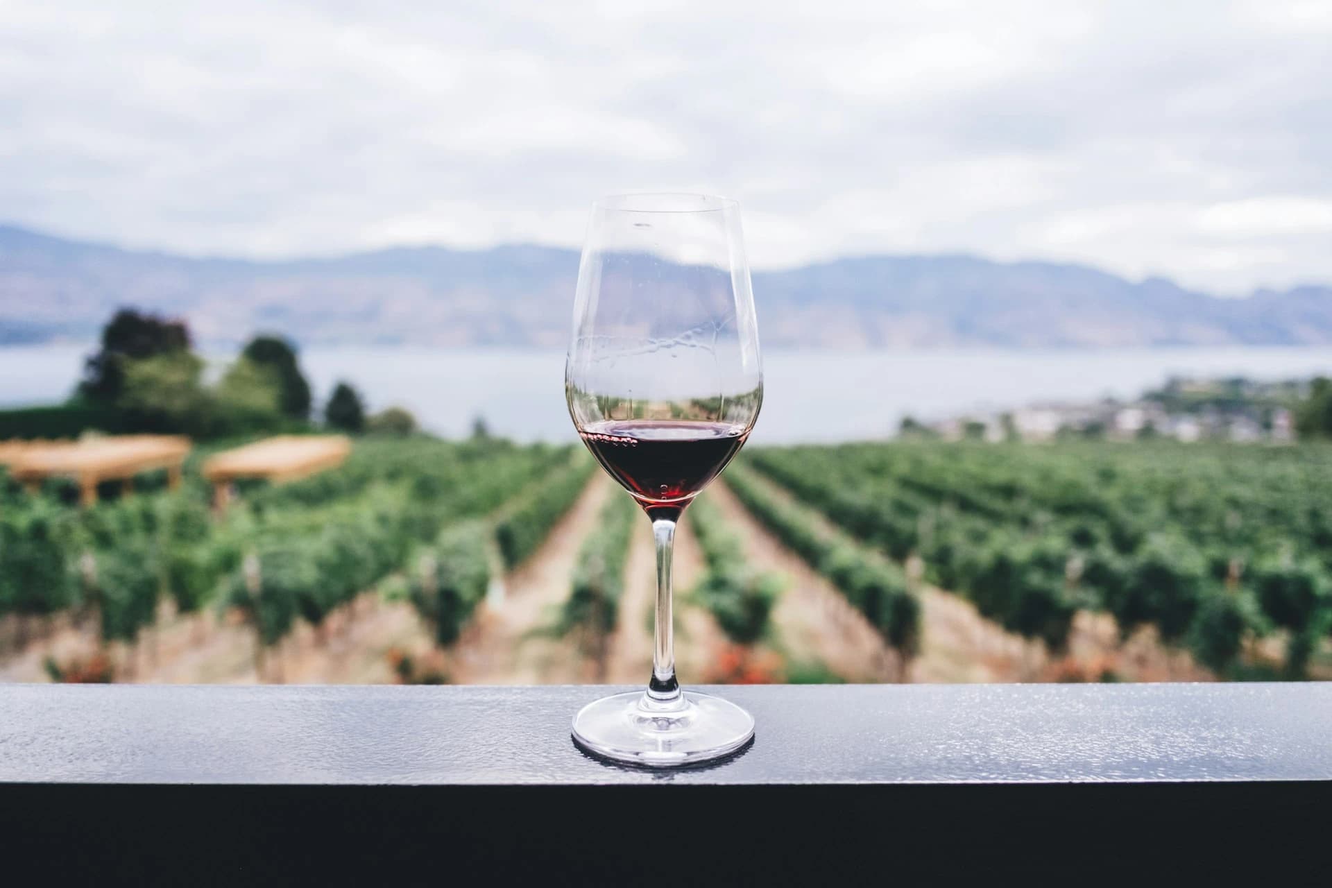 Okanagan Valley vineyard wine production served by Valley Fresh Express
